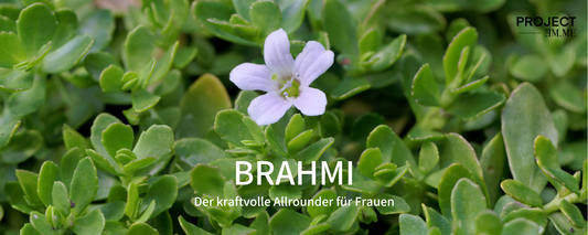 Brahmi