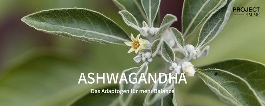 Ashwagandha in Nahrungsergänzungsmitte von Project EM.ME, Adaptogen für mehr Balance von Körper und Geist, Klarheit und fördert die Gehirnfunktion, Ashwagandha Wirkung